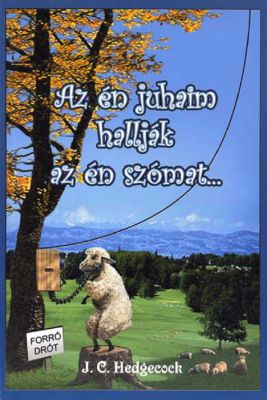 MY SHEEP HEAR MY VOICE