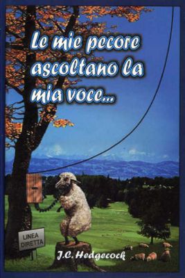 My Sheep Hear My Voice