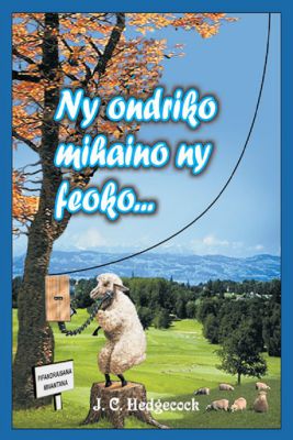 MY SHEEP HEAR MY VOICE