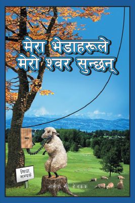 MY SHEEP HEAR MY VOICE