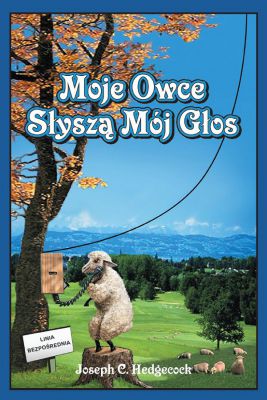 MY SHEEP HEAR MY VOICE